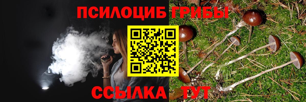 Амурск  Галлюциногенные грибы Cubensis  Вход с VPN 